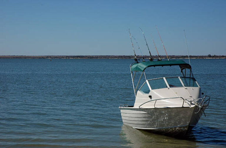 How to Find Quality Boat Tours? Your Guide to Finding the Perfect Trip